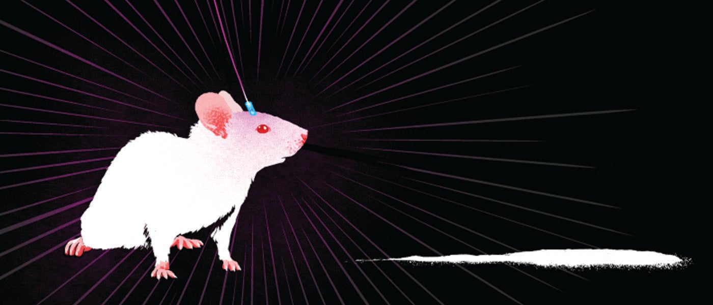 New Study Implies Memories Can Be Rewritten Using Optogenetics New Study Implies Memories Can Be Rewritten Using Optogenetics