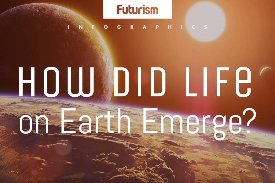 How Life Evolved on Earth (Infographic)