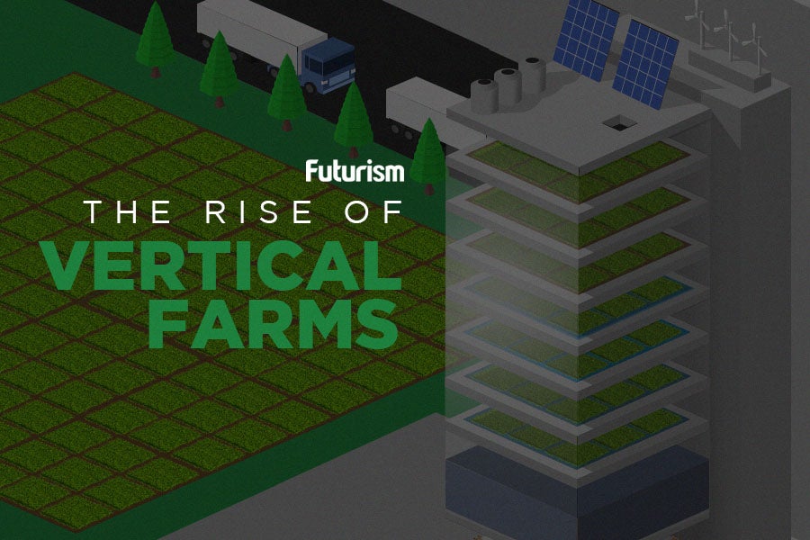 The Rise Of Vertical Farms [Infographic]