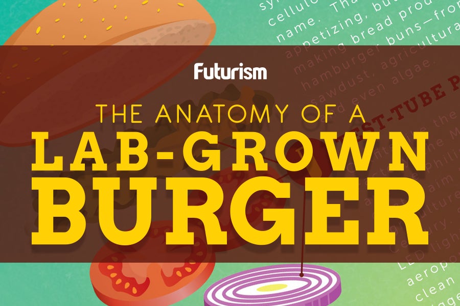 The Anatomy of a Lab-Grown Burger [INFOGRAPHIC]