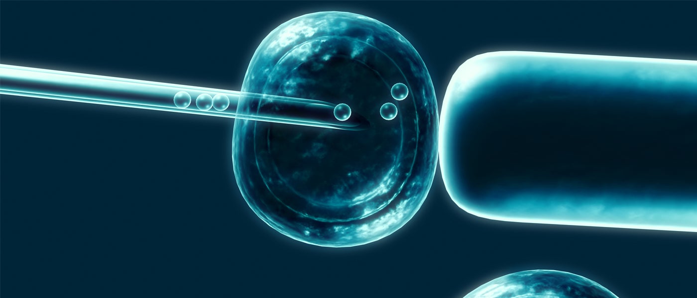 stem cells embryonic stem cells asterias
