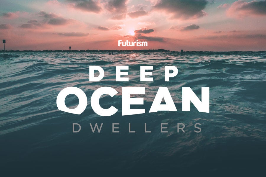 Deep Ocean Dwellers [INFOGRAPHIC]