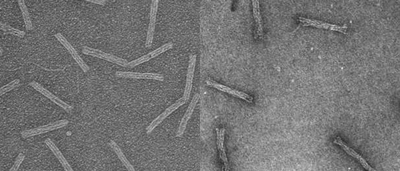nanomachines nanofish drug delivery