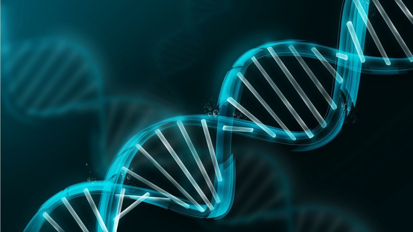 gmo genetically modified gm crops