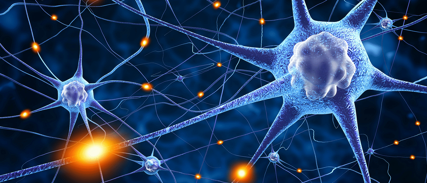 brain emulator brain computer synapses