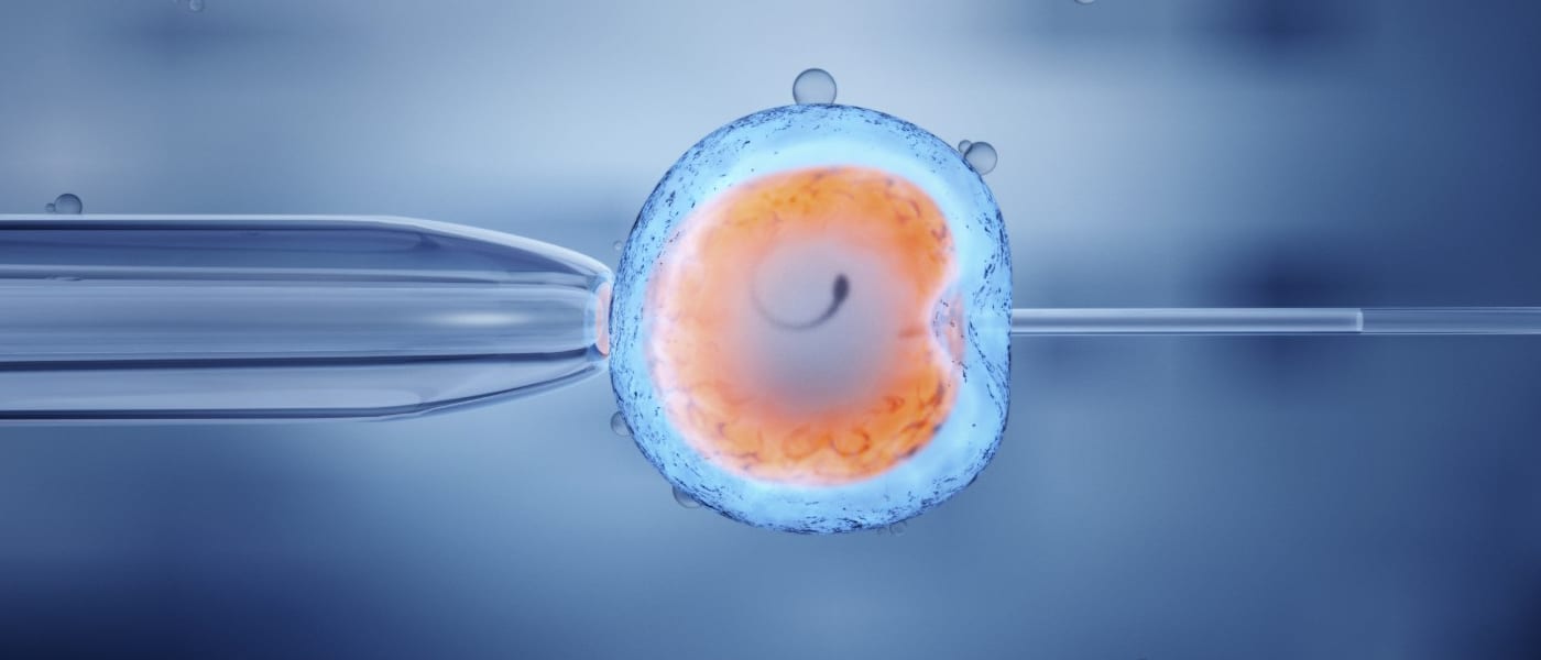 cloning artificial reproduction