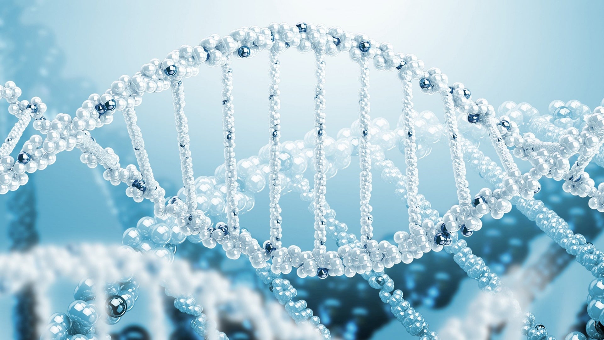autism genetics autism gene