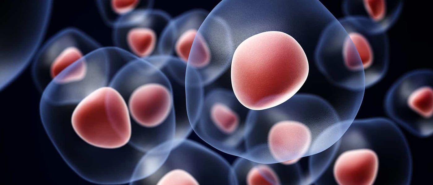 stem cell heart problems tissue regeneration