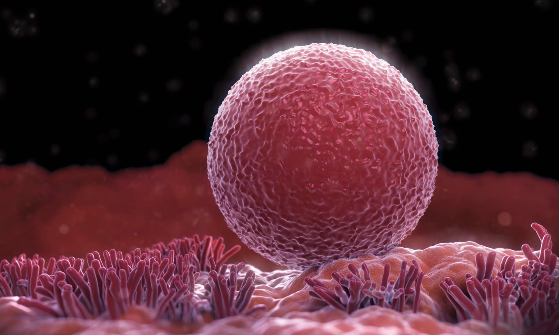 anti-ageing ovaries