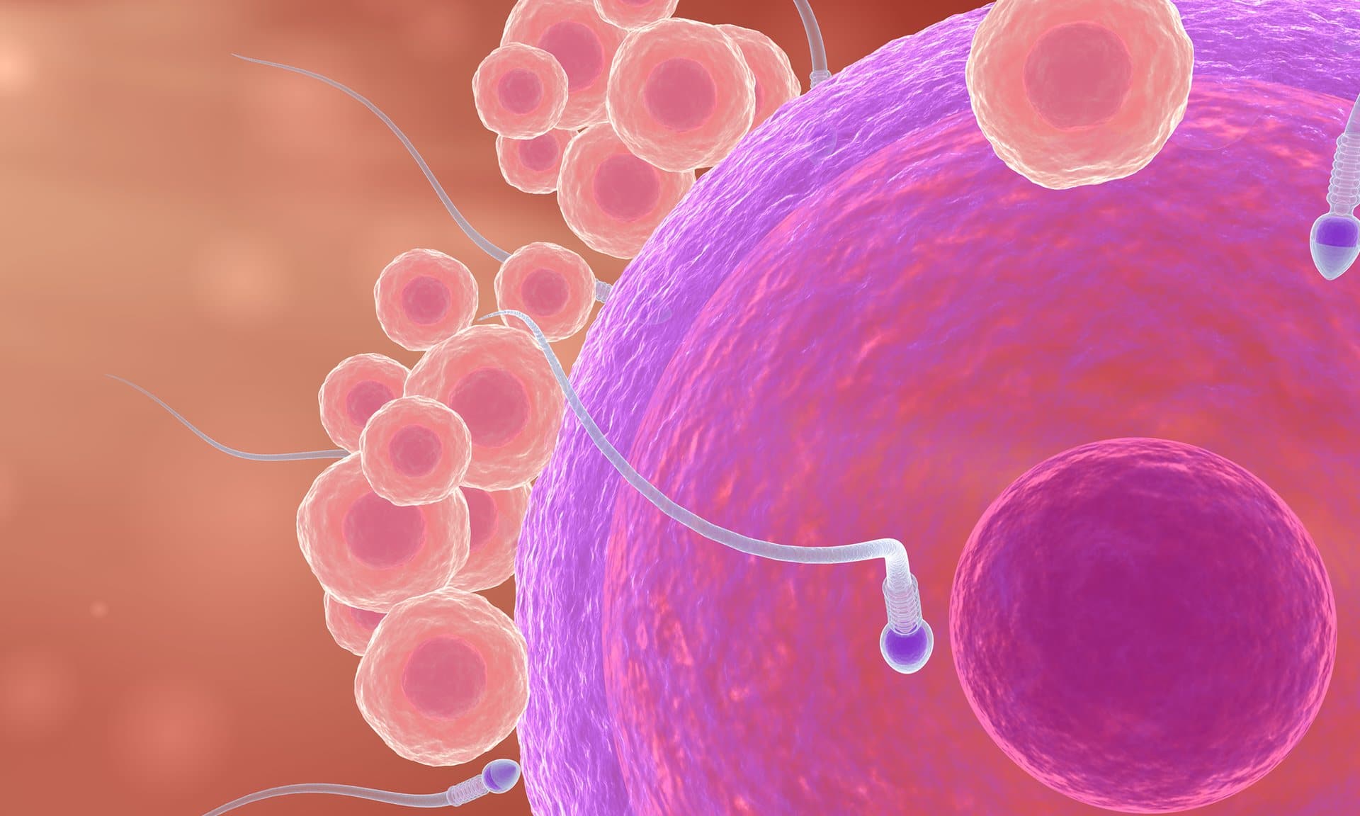 contraception sperm counts birth control hormone therapy