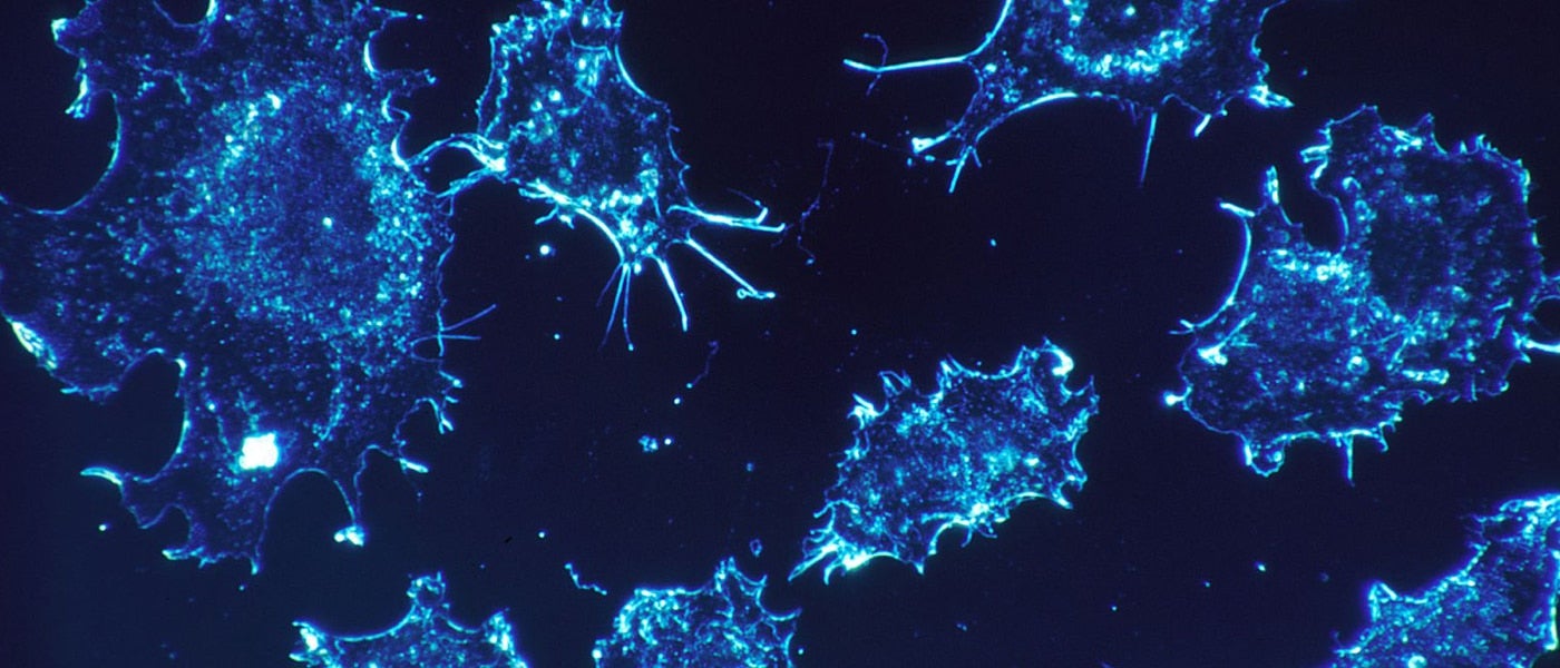 chemotherapy nanoparticles egfr