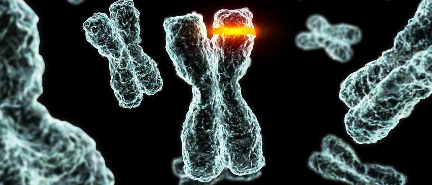 #immunotherapy
