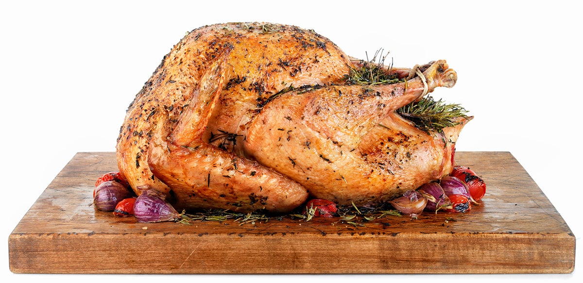 lab-grown meat memphis meats cruelty-free