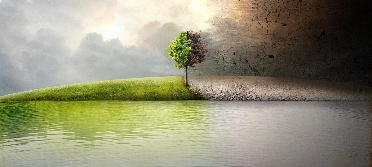 leonardo dicaprio climate change global warming documentary