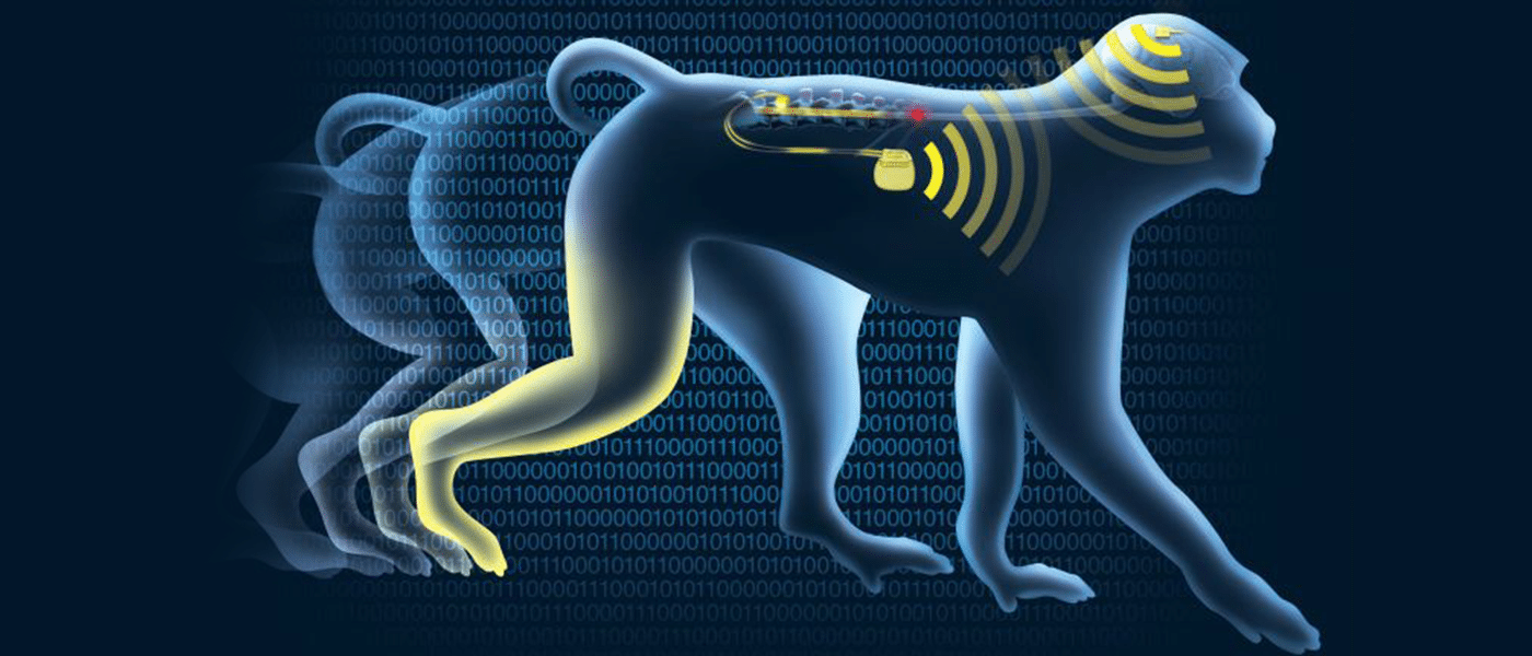 paralysis brain implants primate study