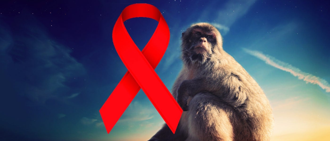 hiv entyvio aids