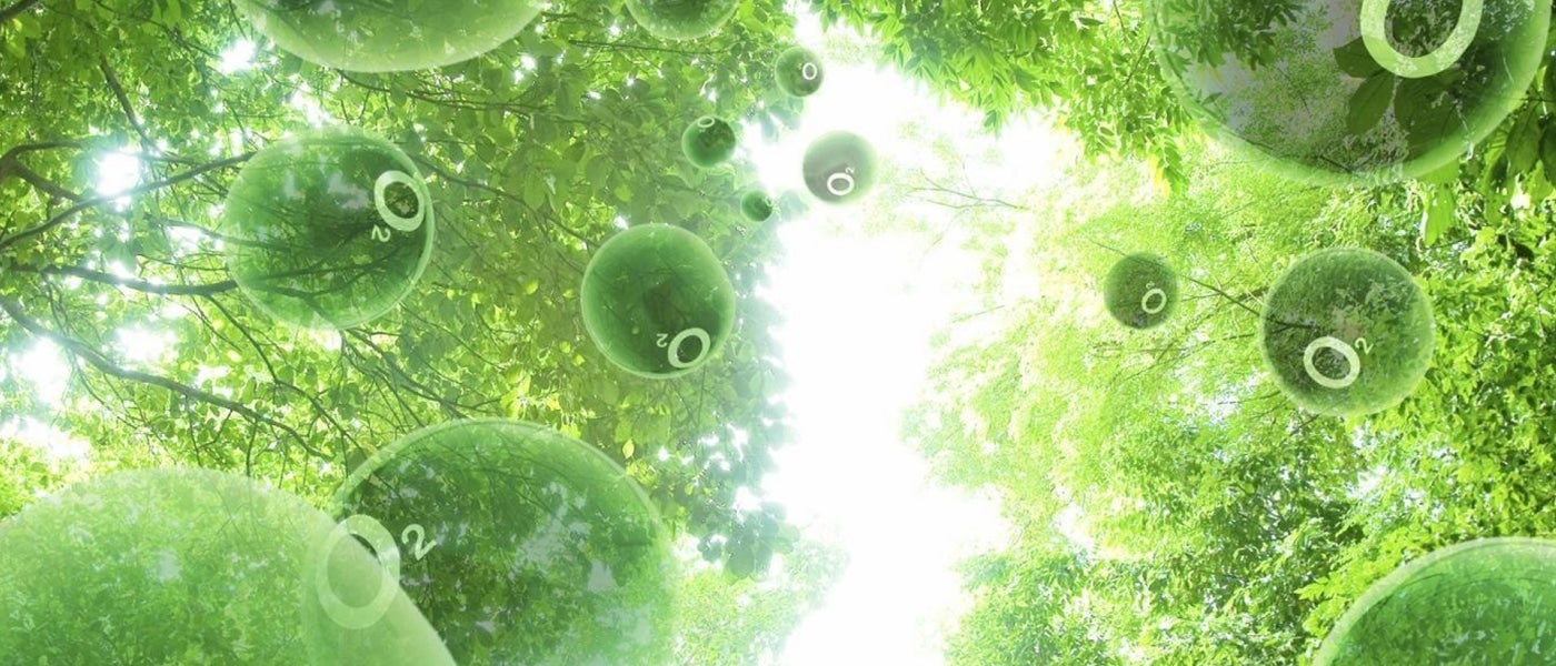 photosynthesis biofuels imperial college of london