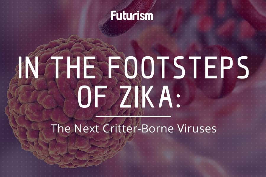 In the Footsteps of Zika: The Next Critter-Borne Viruses [INFOGRAPHIC]
