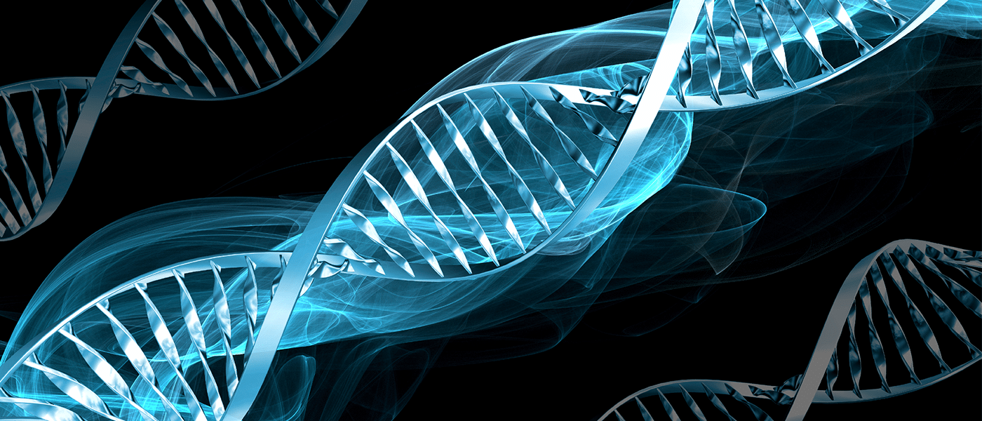 gene therapy epidermolysis bullosa skin grafts
