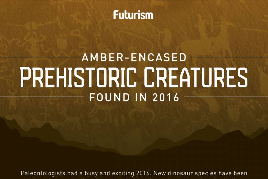 Amber Encased Prehistoric Creatures Found in 2016