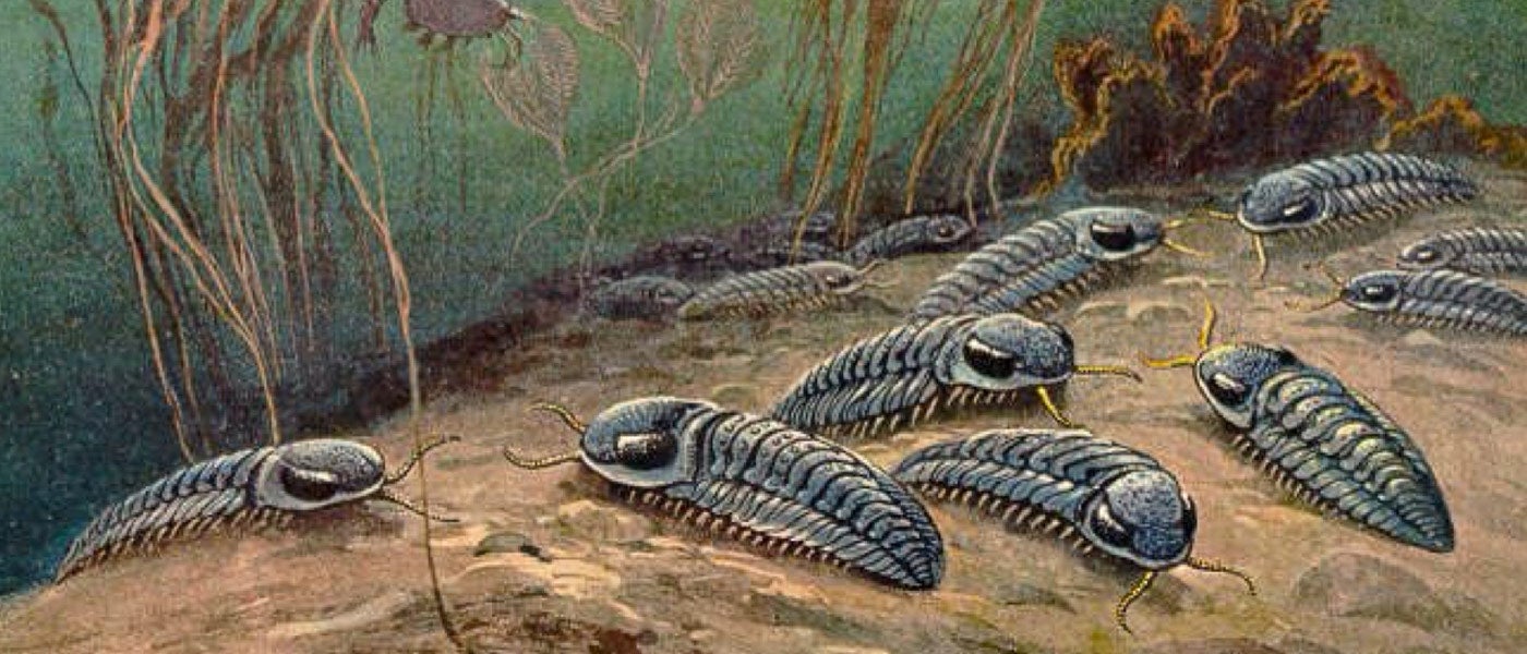 conditions for life extraterrestrial life selenium levels oxygen levels