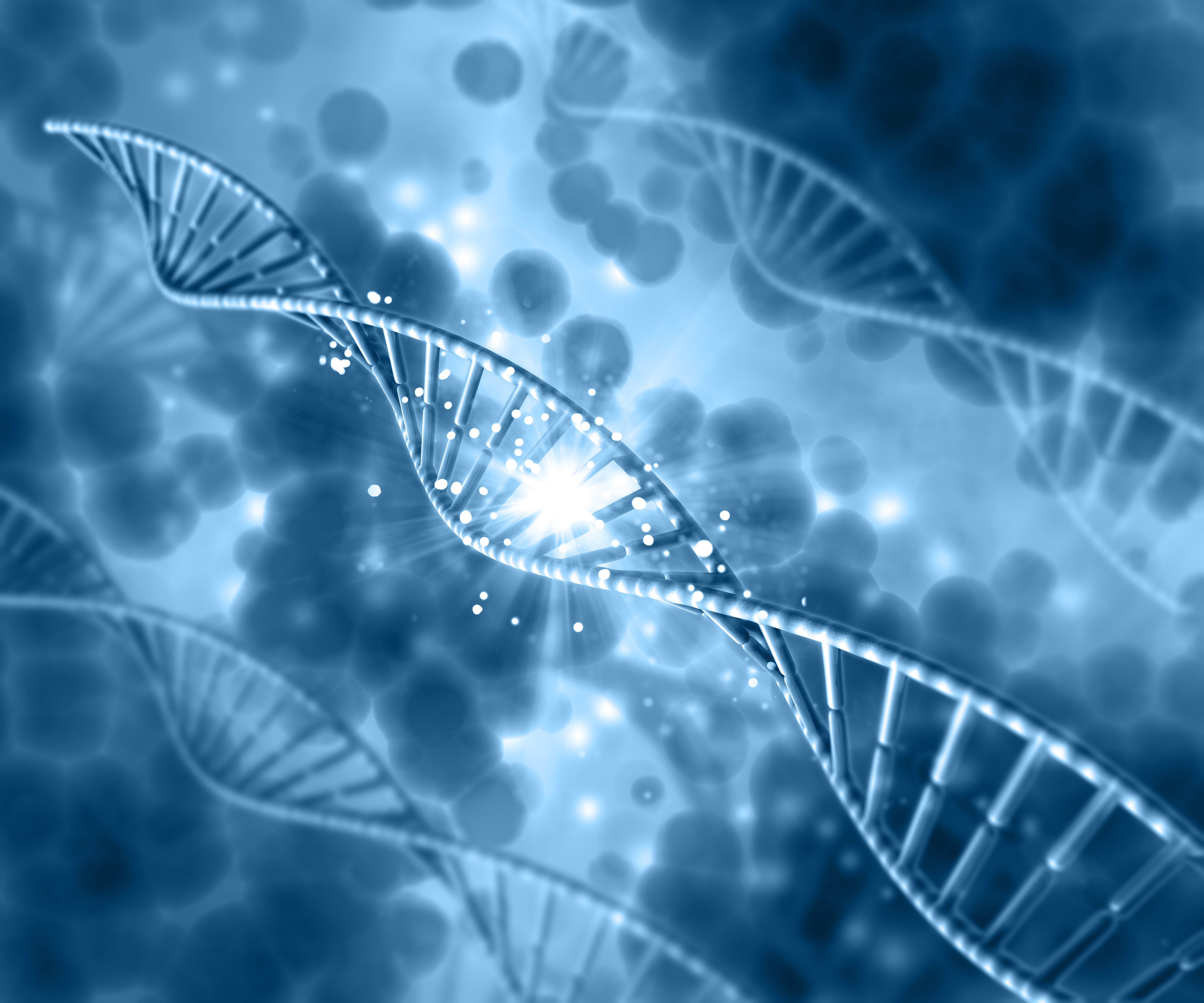 aging disease circadian rhythm late-life cyclers