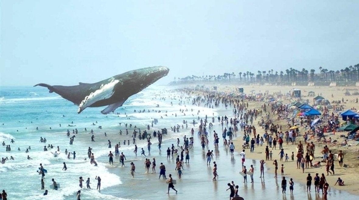 magic leap virtual reality augmented reality leaked photo