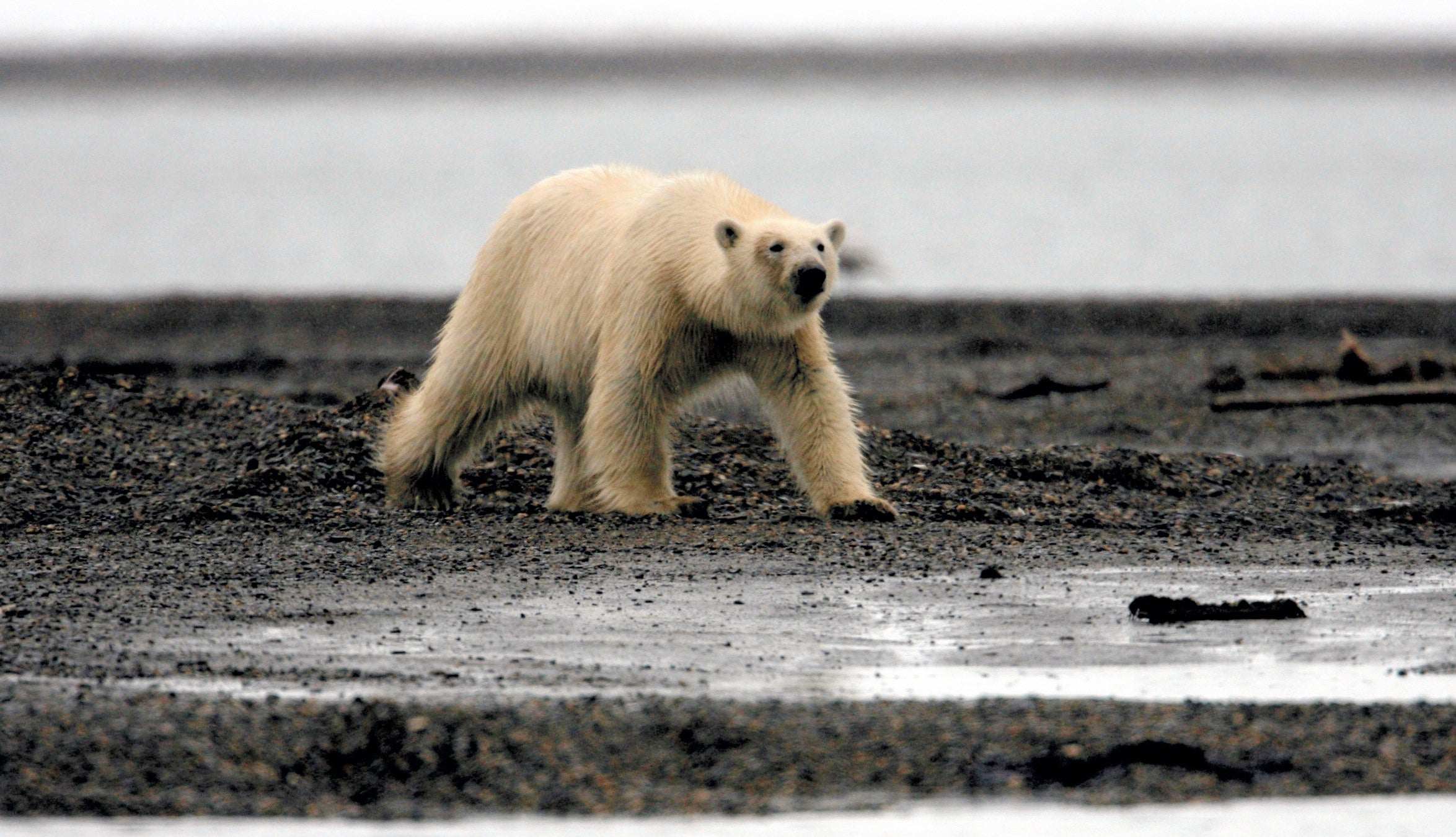 climate change global warming co2 emissions