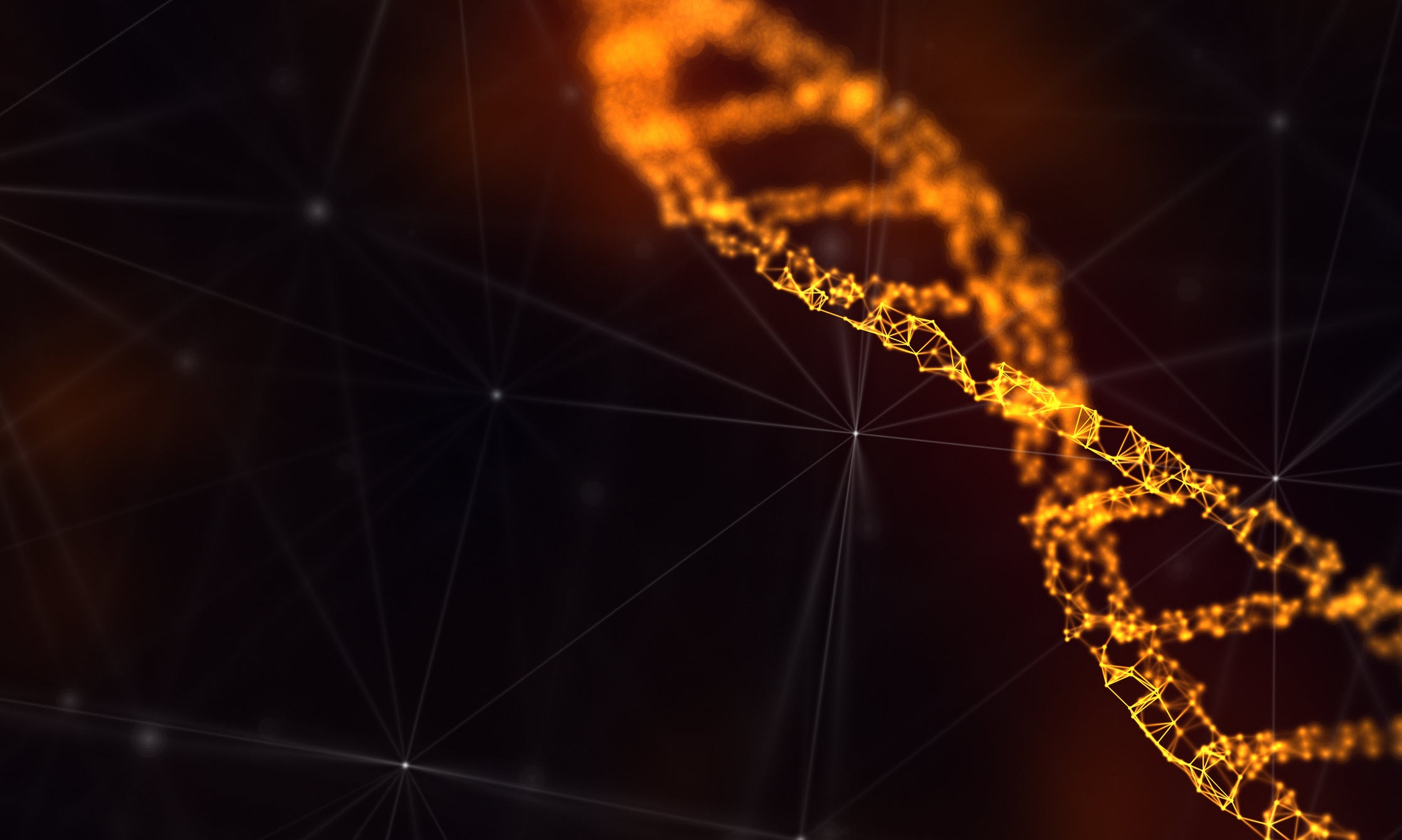 yeast synthetic genome bioengineering