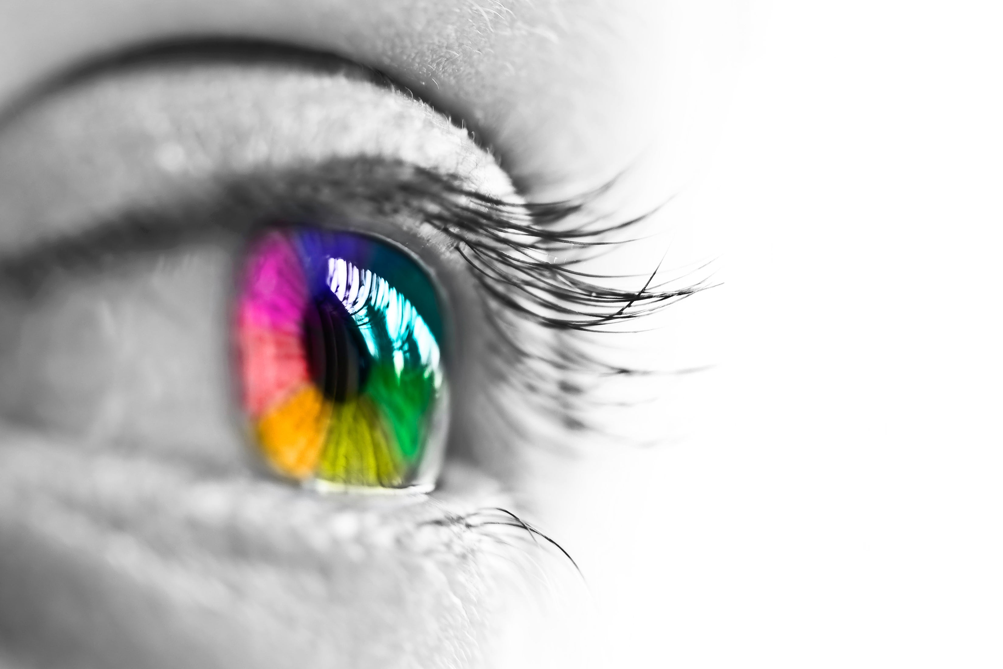 stem cells induced pluripotent stem cells macular degeneration blindness