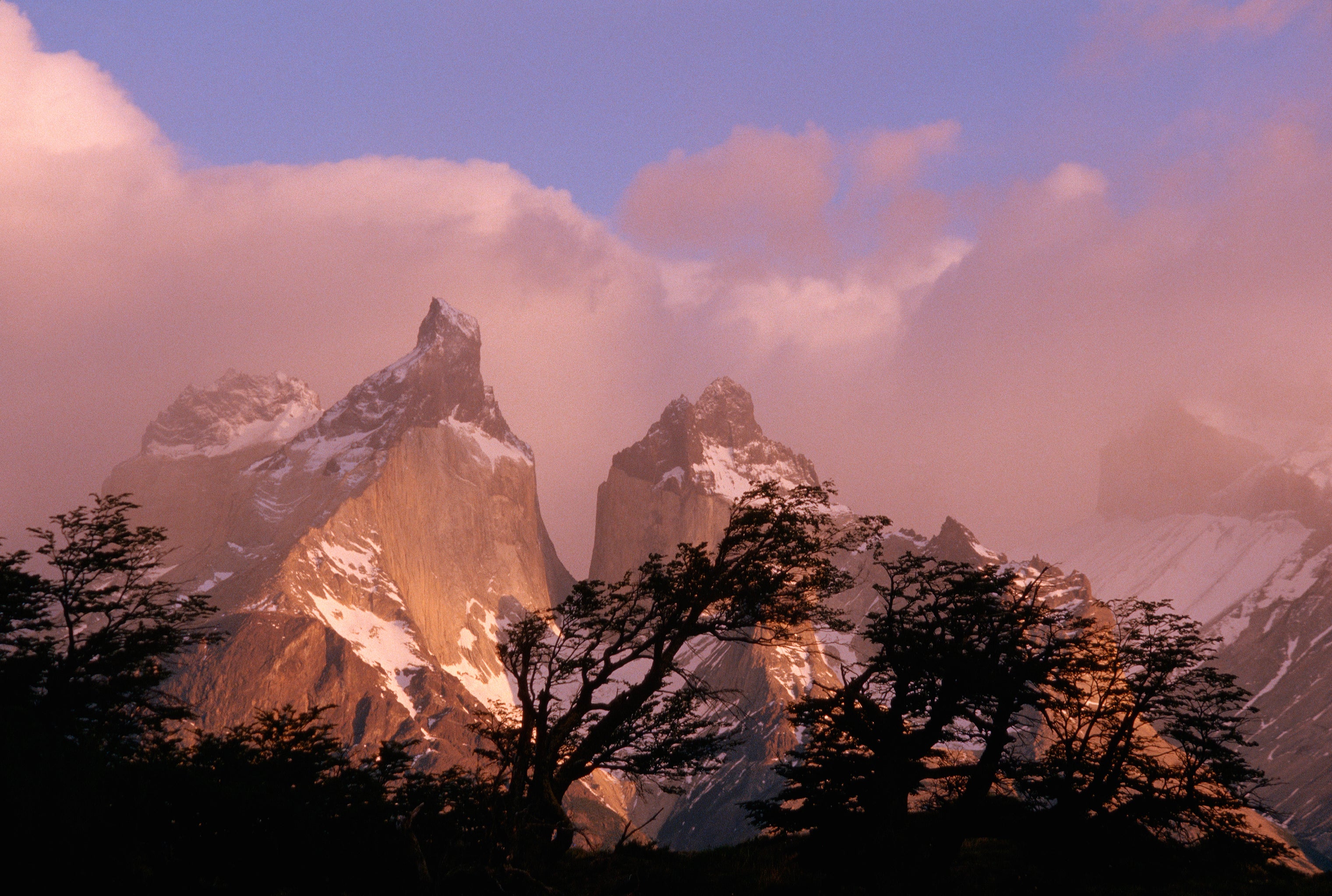 parque pumalín patagonia chile