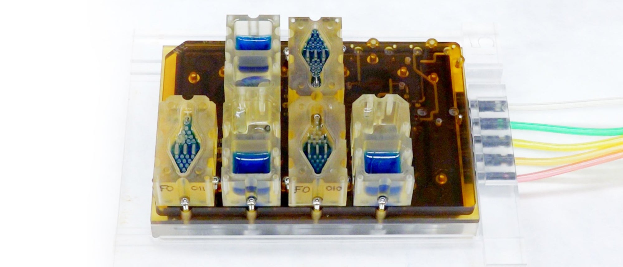 evatar organ-on-a-chip pharmaceutical testing women's health
