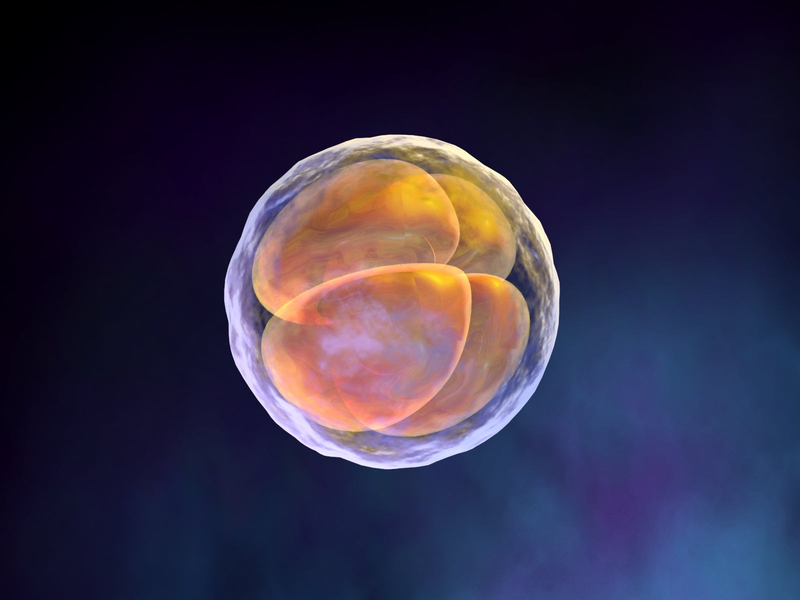 crispr human embryos genetic modification