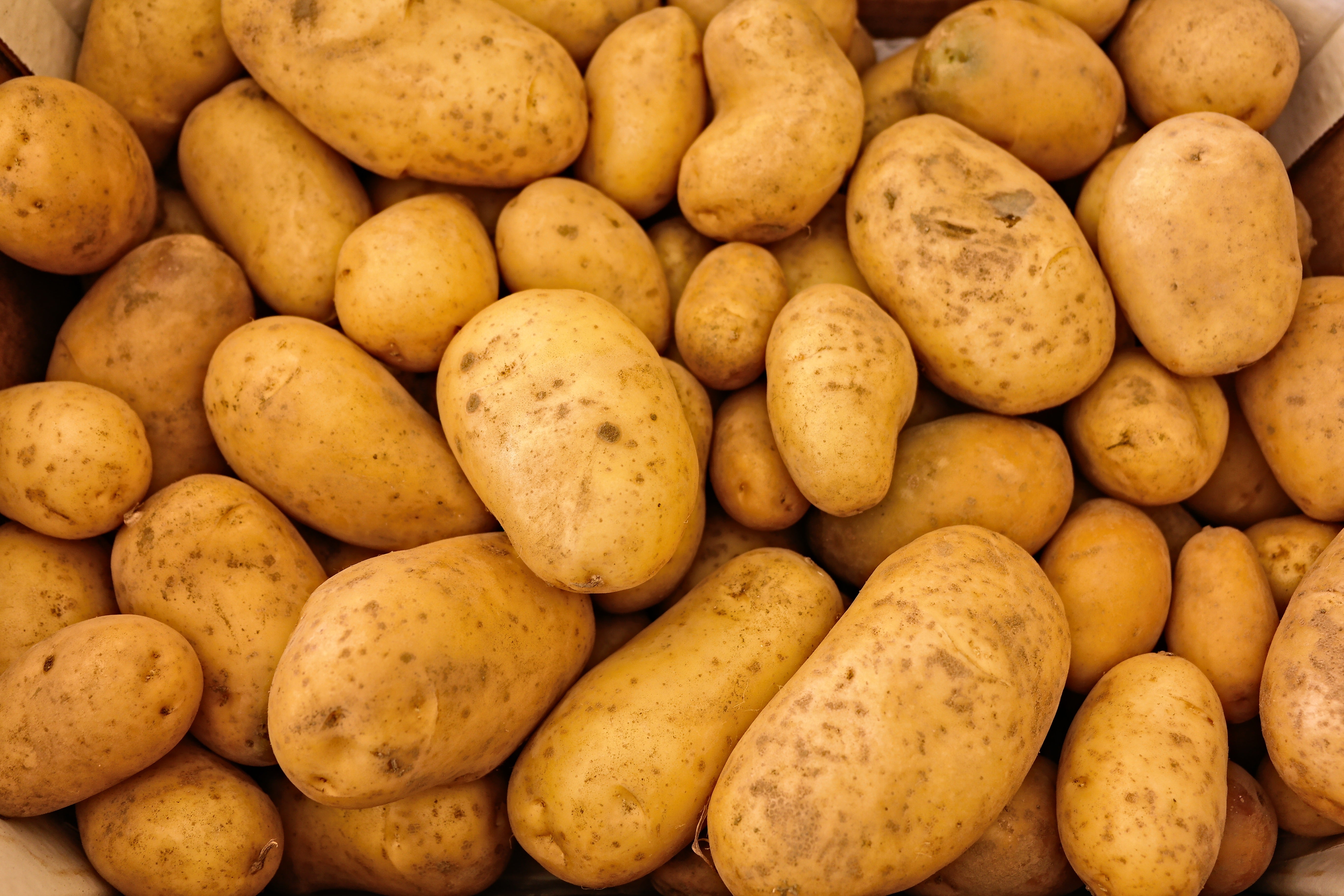potatoes on mars cip mars missions colonizing mars