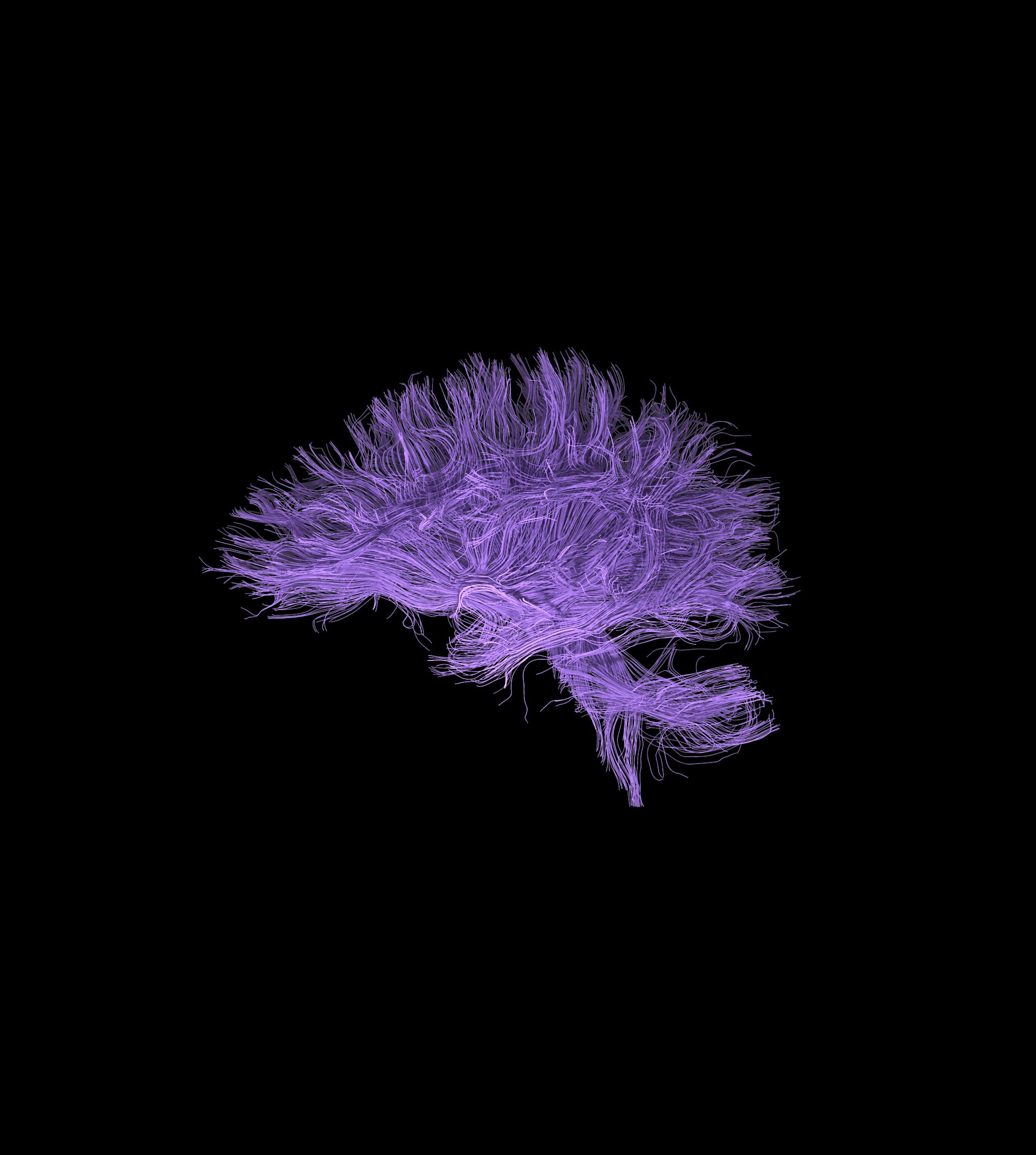 bci human rights neuroscience cognitive rights