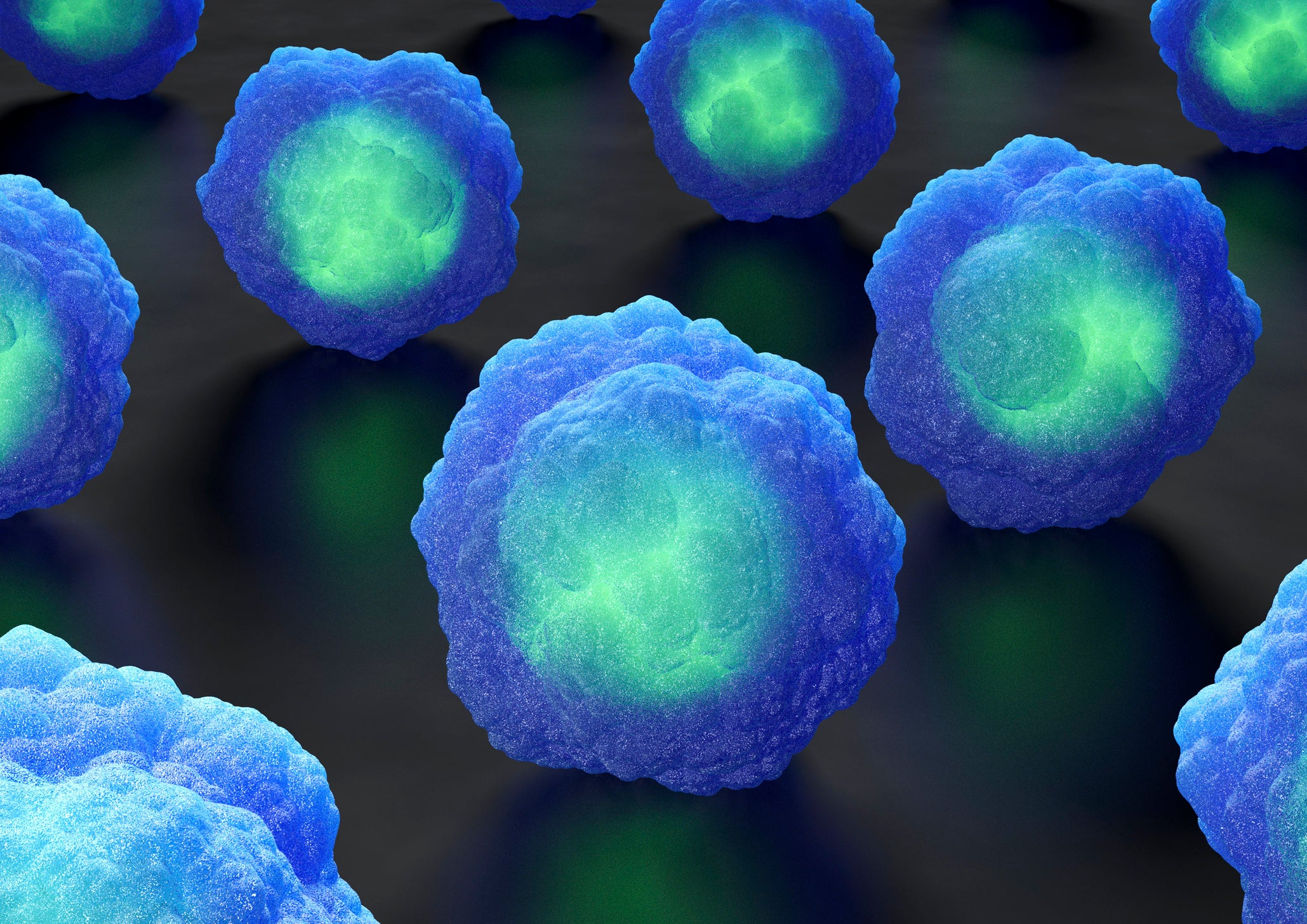 medicine stem cells cellular biology