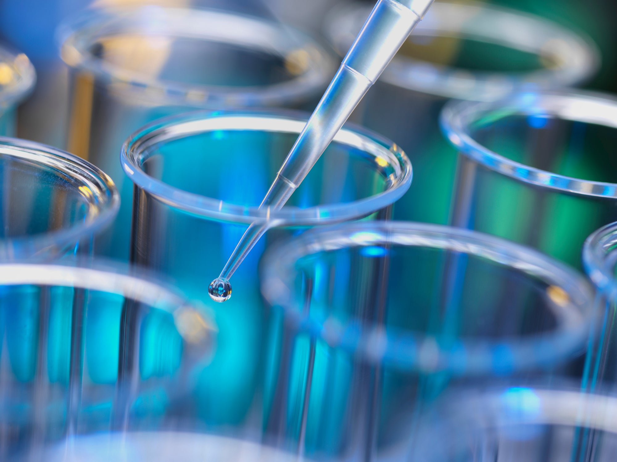 regenerative medicine stem cells lab grown organs