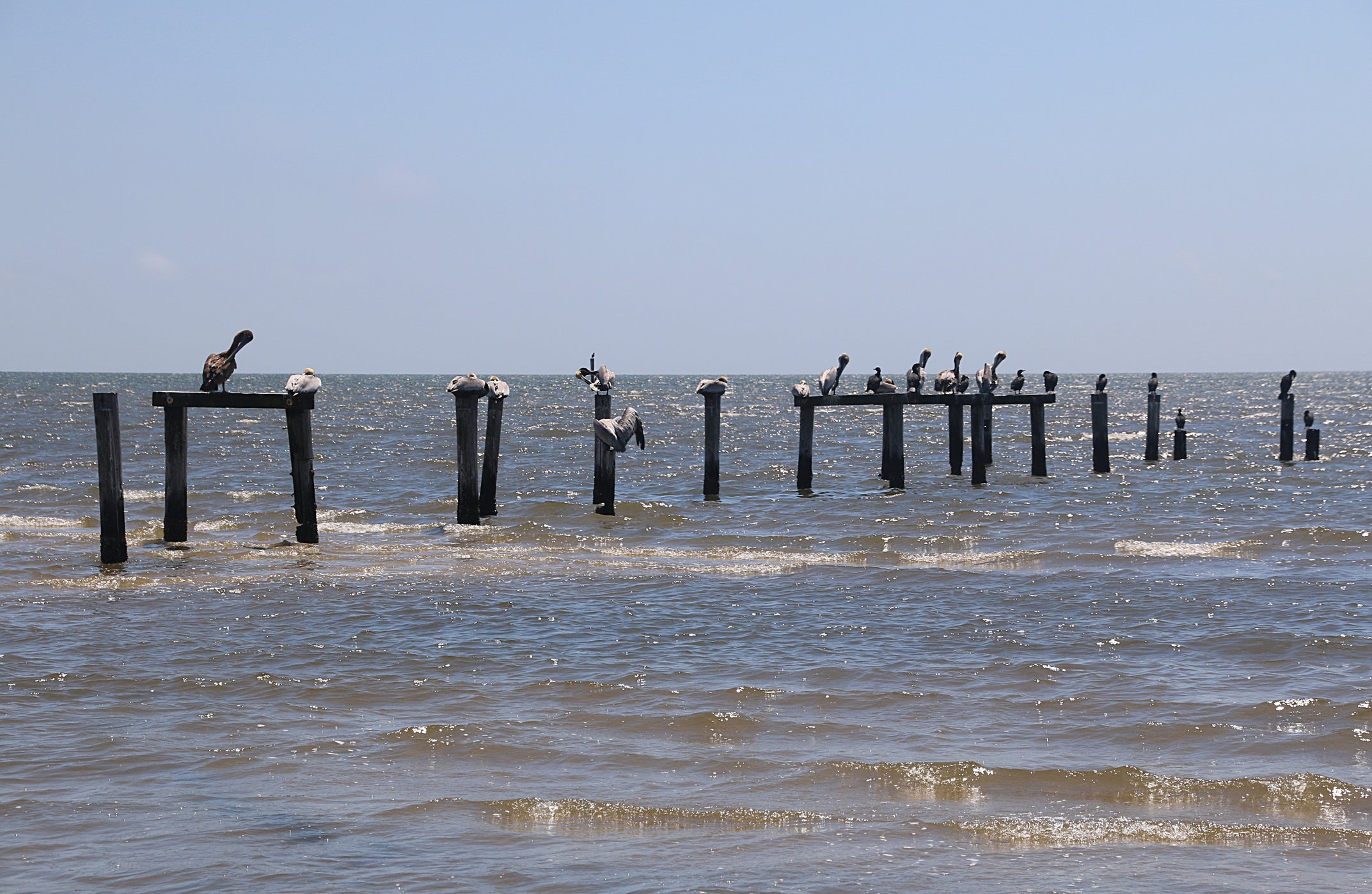 climate change wetlands louisiana coast