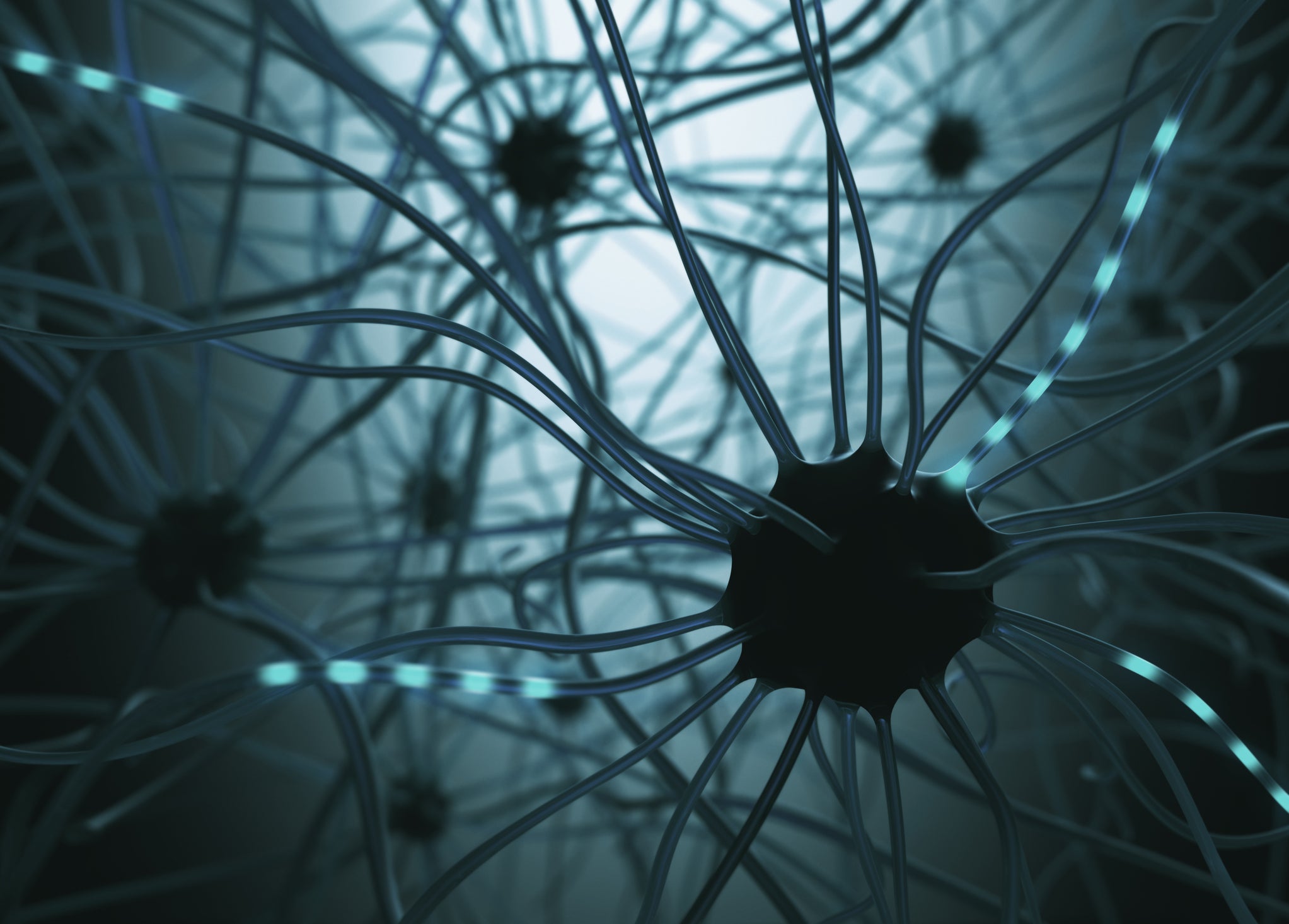 neuroscience neural predictive modeling sequence learning neural responses