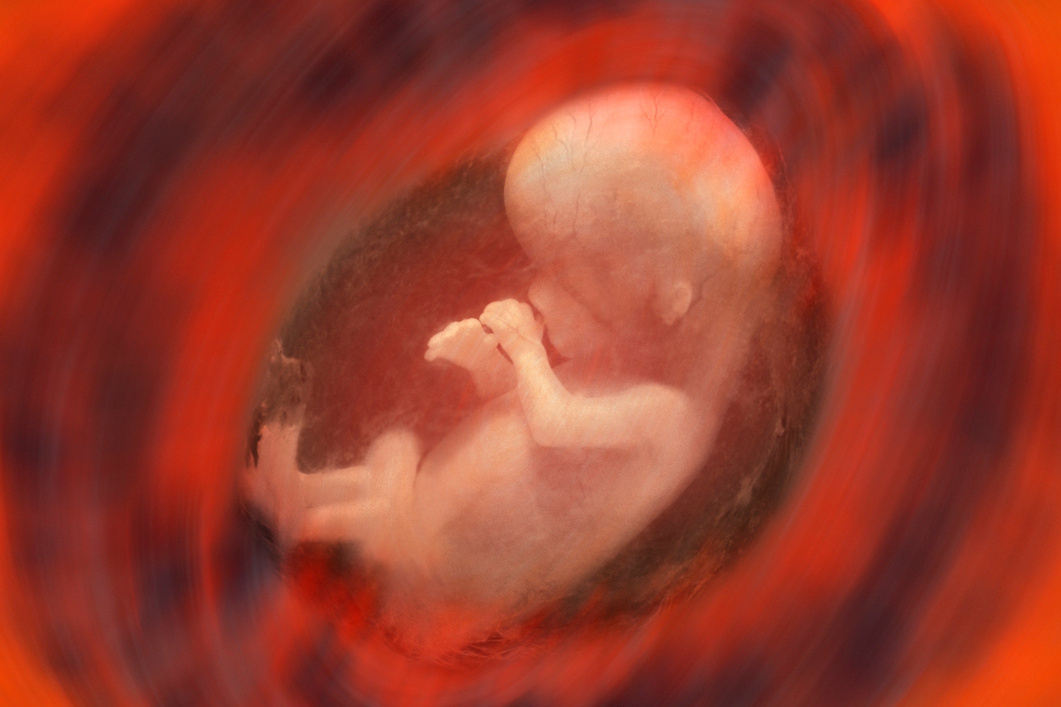 artificial womb pregnancy artificial baby womb premature babies