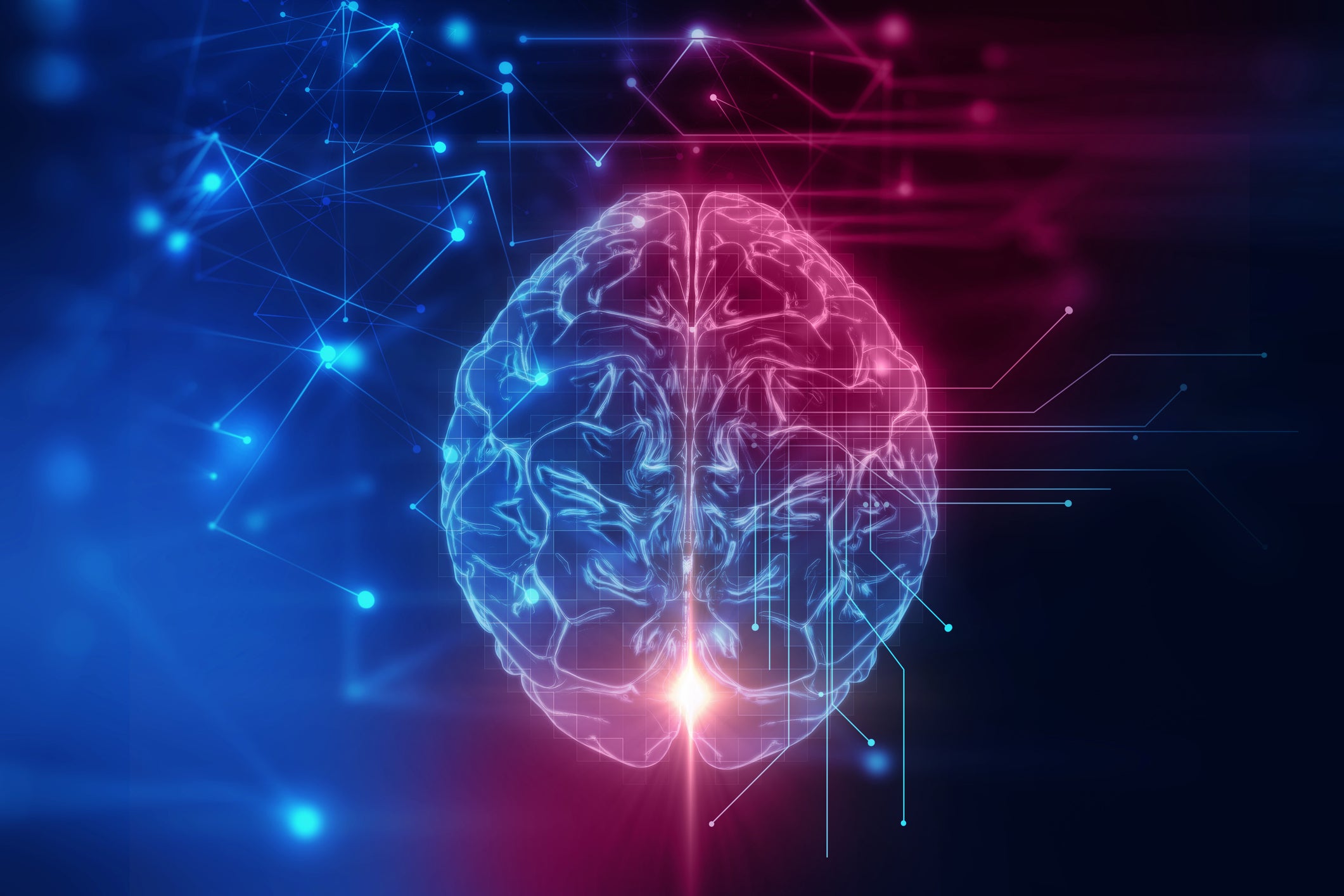 elon musk neuralink wait but why bryan johnson