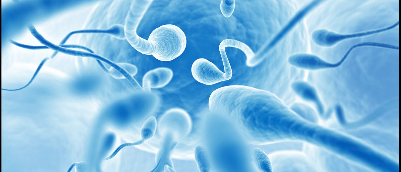 sperm cancer gynecological cancers drug delivery