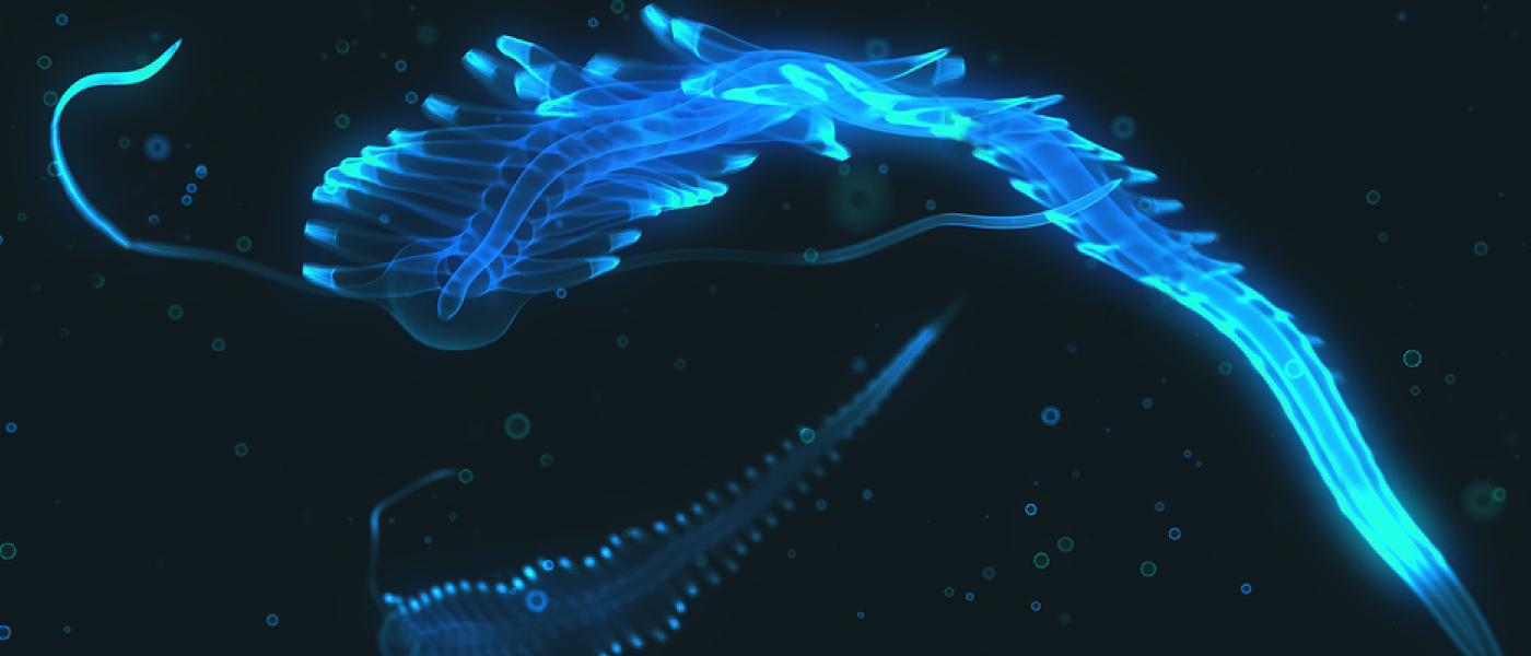 biology epigenetic memory roundworms flourescent