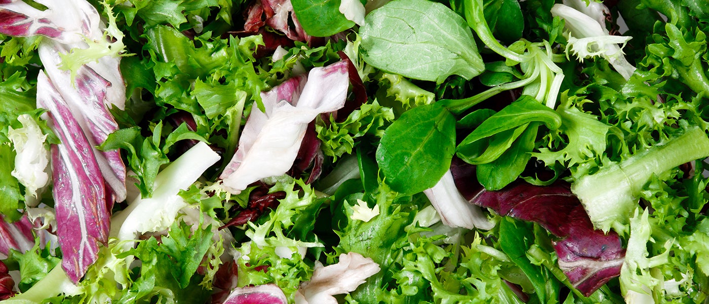 robots salad sally silicon valley startup