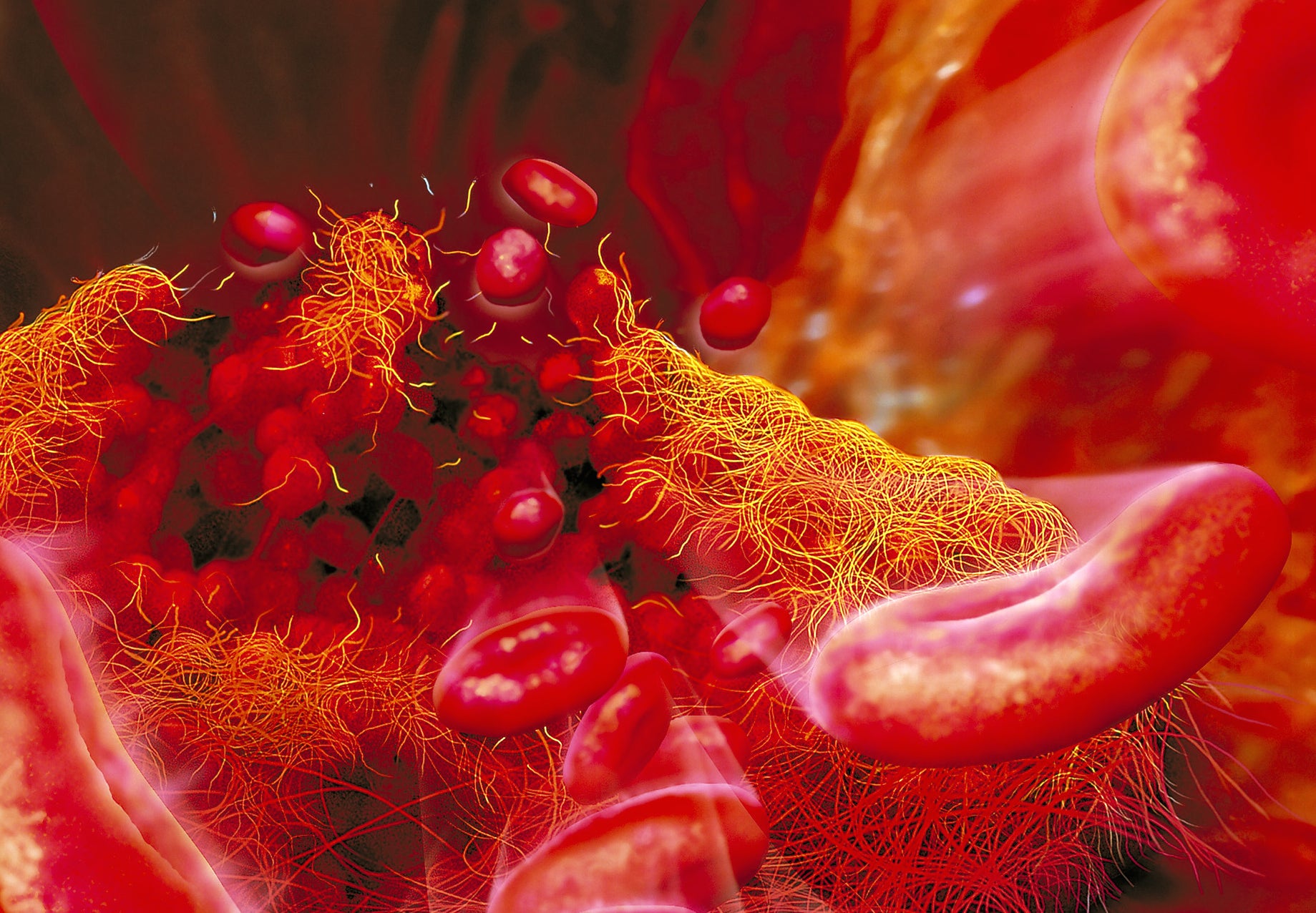 3d printing synthetic organs regenerative medicine