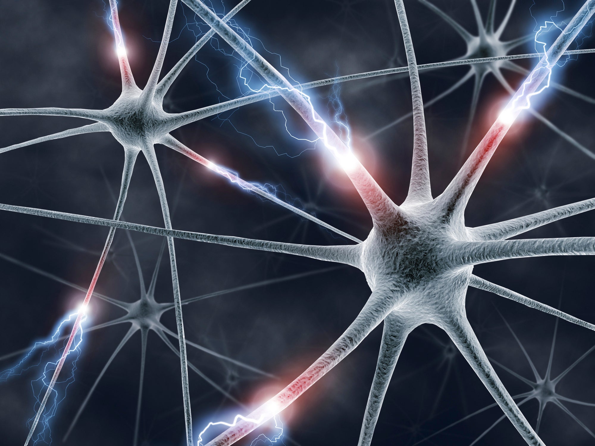 consciousness disorders transcranial direct current stimulation neuroscience