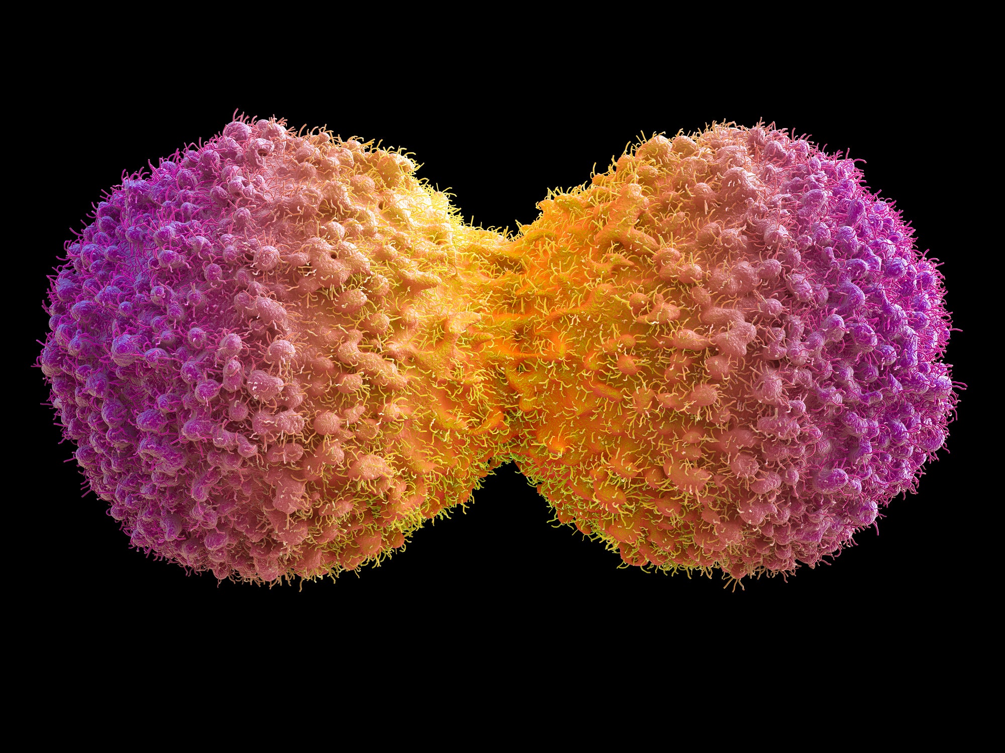 crispr cancer command center cancer fusion genes