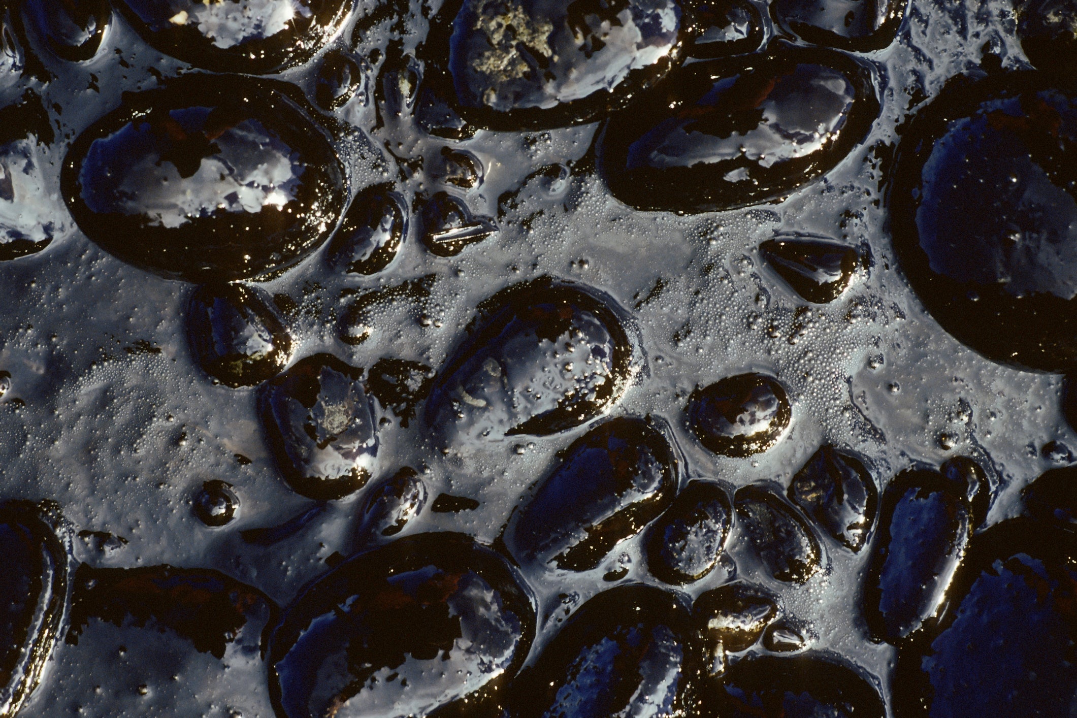 dakota access pipeline oil leak renewables