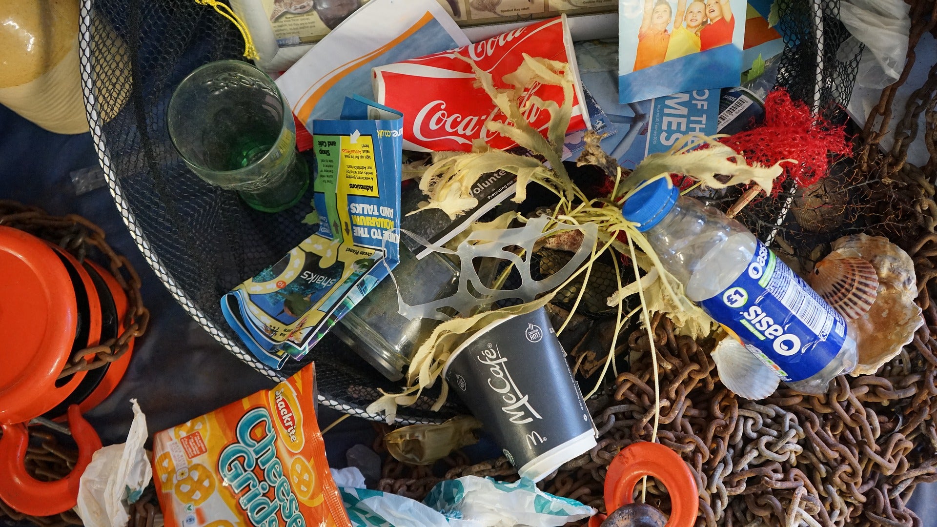 pollution ocean plastic extinction ocean pollution