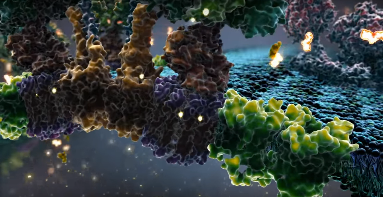 hypoxia low oxygen therapy mitochondria neurological diseases